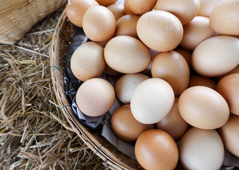 Eggs