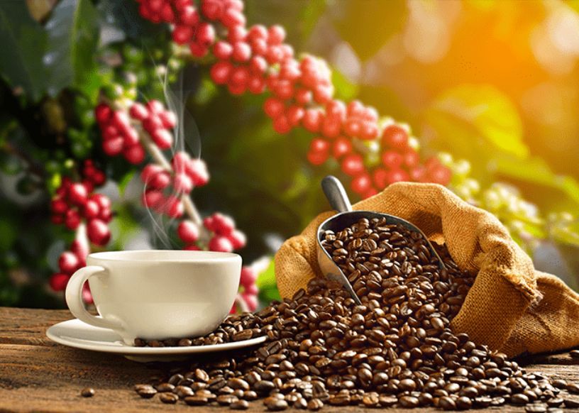 Café